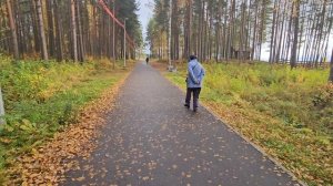 Парк: Вичка в городе Медвежьегорск 

жд станция Медвежья гора