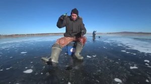 Рыбалка по первому льду. Зимняя рыбалка на щуку и окуня.