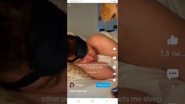 lv_0_20251014153930.mp4 смотреть онлайн