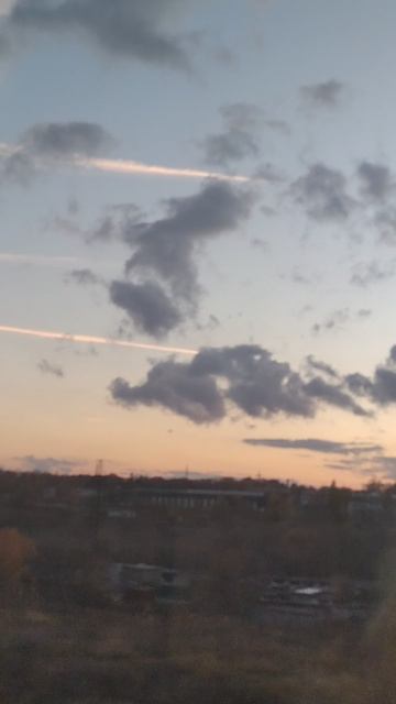 мой Барсик решил поточить когти