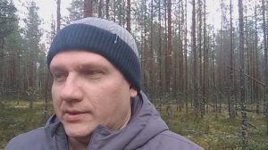 Что происходит в данный момент