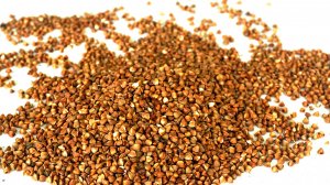 БЛИНЫ. КАК ПРИГОТОВИТЬ  БЛИНЫ ИЗ ГРЕЧКИ