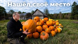 БРОСИЛ ВСЕ в ГОРОДЕ и ШЕСТЬ ЛЕТ ЖИВУ в ЛЕСУ. ДИКИЕ ЖИВОТНЫЕ ПРИХОДЯТ КАЖДУЮ НОЧЬ. №363