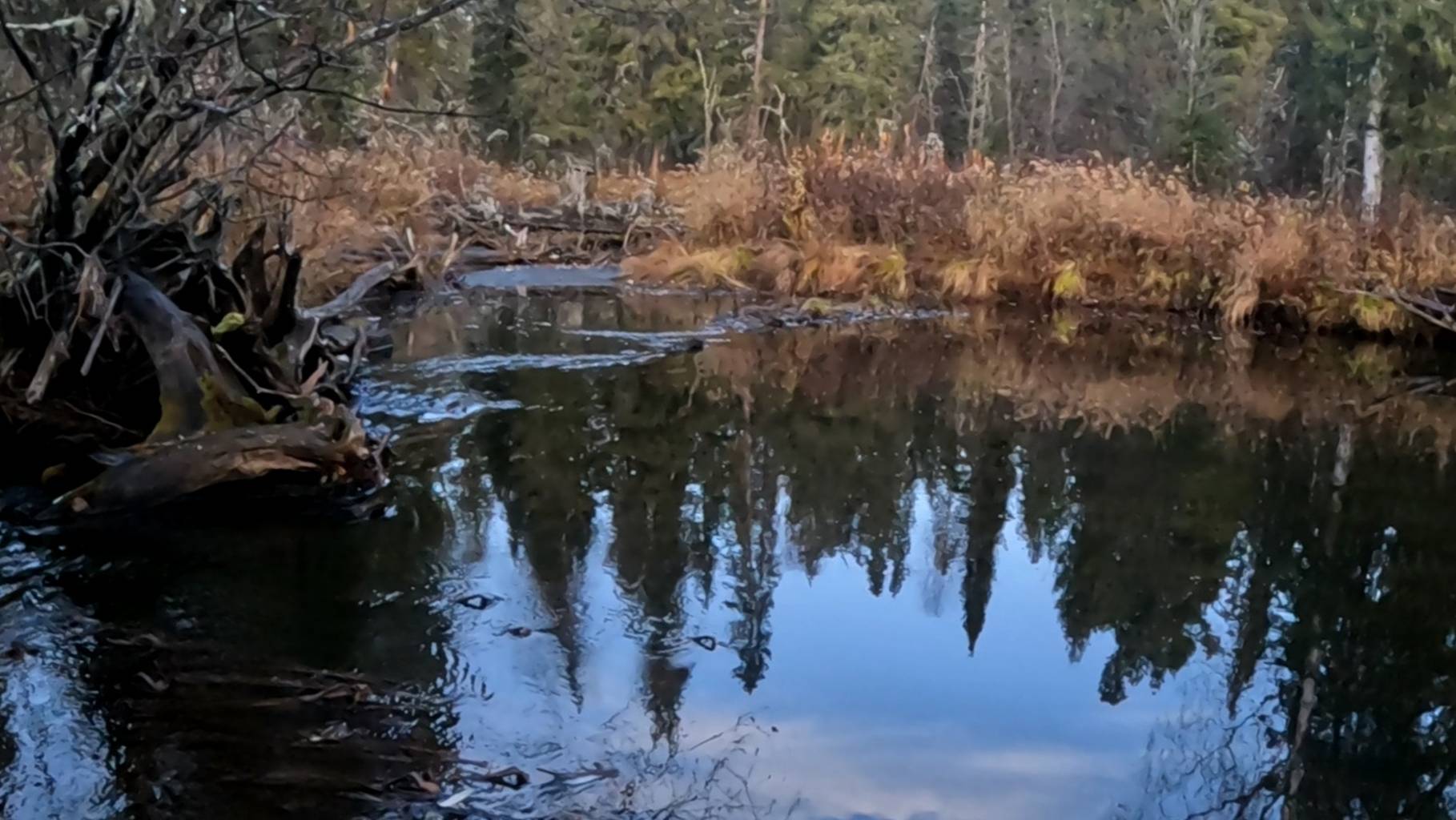 Хариус в октябре.#2 смотреть онлайн