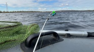 Закрытие сезона по лещу 2025. Ловля леща на кольцо. Рыбалка на Волге