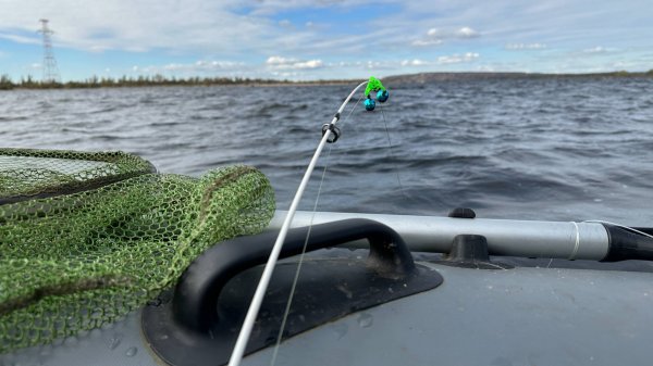 Закрытие сезона по лещу 2025. Ловля леща на кольцо. Рыбалка на Волге