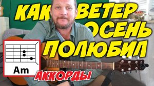 КАК ВЕТЕР ОСЕНЬ ПОЛЮБИЛ (В ПОДВОРОТНЕ ОСЕНЬ С ВЕТРОМ ТАНЦЕВАЛА) СТИХИ - ЮЛИЯ НАБАТОВА (АККОРДЫ)