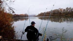 Рыбалка на осеннего сазана на Дону в слом погоды!