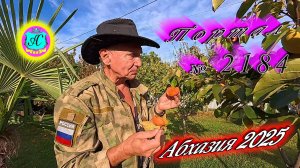 #Абхазия2025 🌴14.10.25г. ❗ Выпуск № 2184🔥вчера +19°🌡ночью +11°🌡море +19,8°🐬