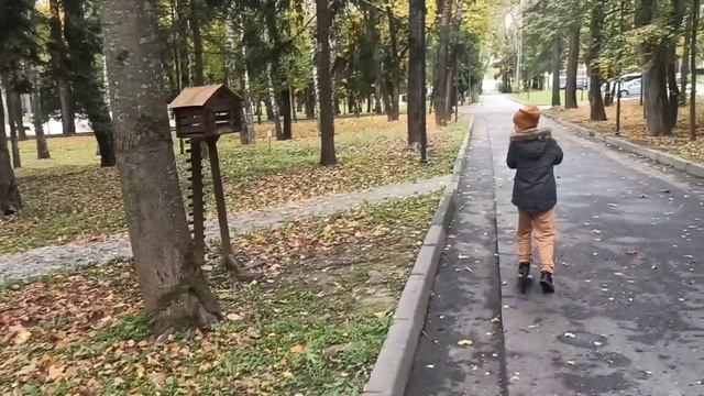 Обзор территории санатория Амакс Новая Истра смотреть онлайн