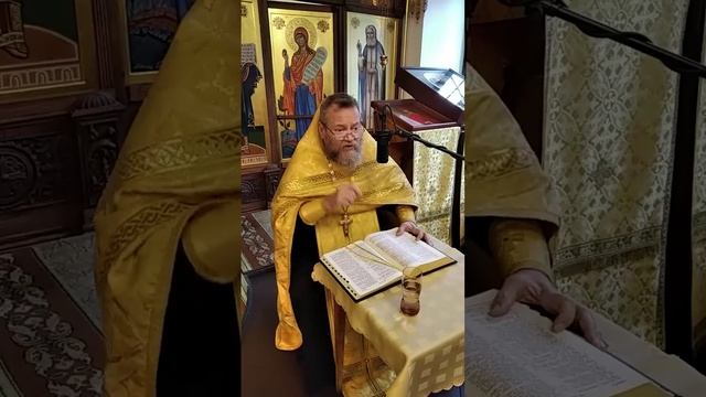 О ЛЮБВИ К ВРАГАМ (Лук.6,31-36). Протоиерей Олег Стеняев