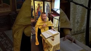 О ЛЮБВИ К ВРАГАМ (Лук.6,31-36). Протоиерей Олег Стеняев