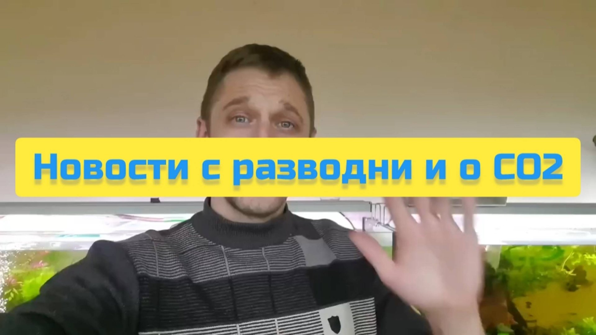 НОВОСТИ С РАЗВОДНИ И О СО2 смотреть онлайн