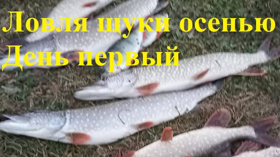 Ловля осенней щуки на джиг. Первый день. смотреть онлайн