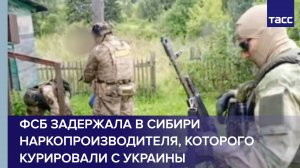 ФСБ задержала в Сибири наркопроизводителя, которого курировали с Украины