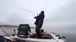 Эта форма и цвет открыла рот рыбе! Рыбалка на спиннинг в дождь на судака!