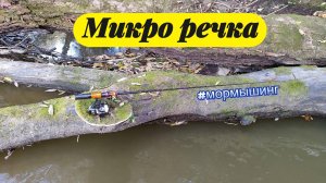#мормышинг | Осенняя мирко речка | Плотва в корягах |