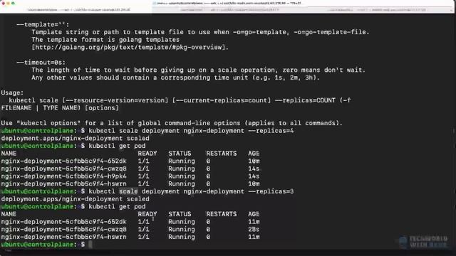 3.5 Scaling Deployments & Record Kubectl Commands смотреть онлайн
