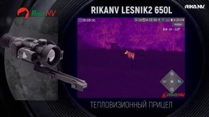 Лучшие моменты ночных охот: Подборка трофеев с RikaNV Lesnik 2 650L (часть 1)