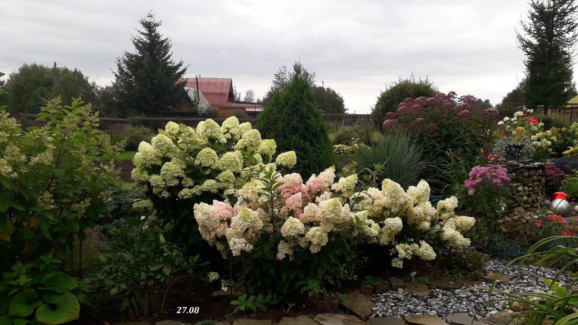 Гортензии в августе 2025 смотреть онлайн