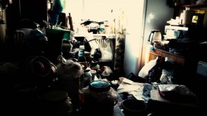 СИНДРОМ ПЛЮШКИНА