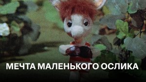 Мечта маленького ослика | Cоветские мультфильмы