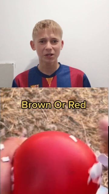 Угадай ЦВЕТ челлендж! смотреть онлайн