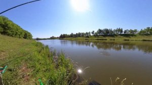 Ловля карася ,матчем !