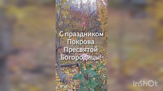 Праздник Покрова