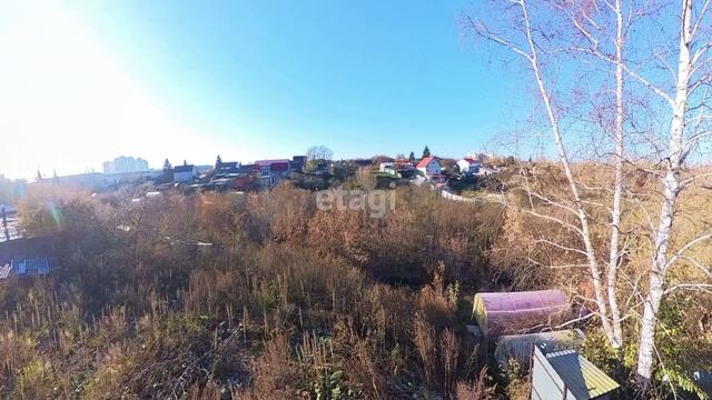 1393908 смотреть онлайн