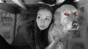 Не выходи из комнаты.  Период пандемии. Гр. 1720.