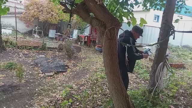 УТРО НАЧИНАЕТСЯ С ТАНЦЕВ, А ПОТОМ ЗА РАБОТУ смотреть онлайн