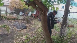 УТРО НАЧИНАЕТСЯ С ТАНЦЕВ, А ПОТОМ ЗА РАБОТУ