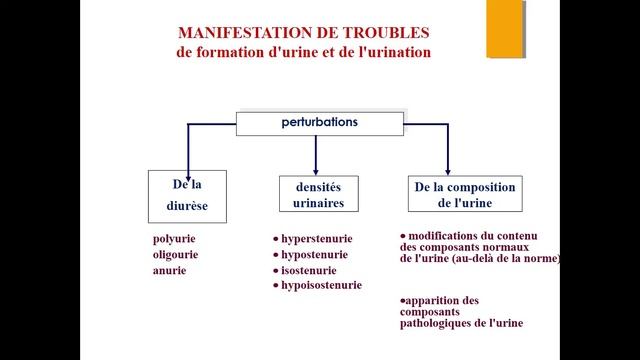 La Pathologie Rénale (2)