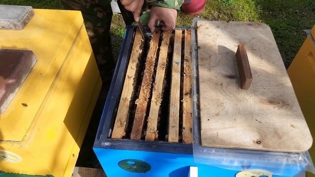 Двухматочный Весенний Старт!!!