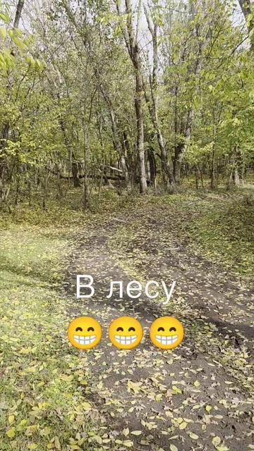 14-10-2025 #лес смотреть онлайн