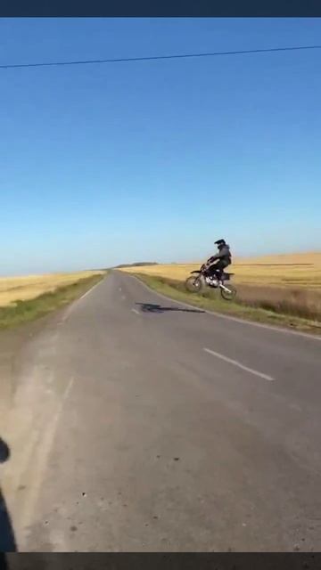 #ДТП #Премия_Дарвина смотреть онлайн