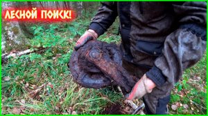 ПРОВЕРЯЕМ ТОЧКИ В ЛЕСУ ГДЕ ДОЛЖЕН БЫТЬ МЕТАЛЛОЛОМ!