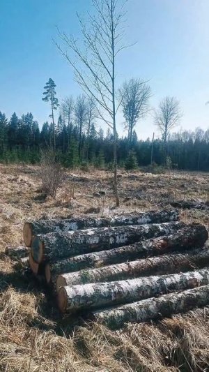 Запели трактора