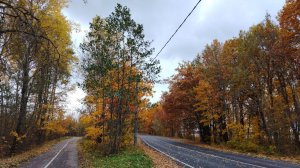 Золотая осень на Jamis ventura A2 👇