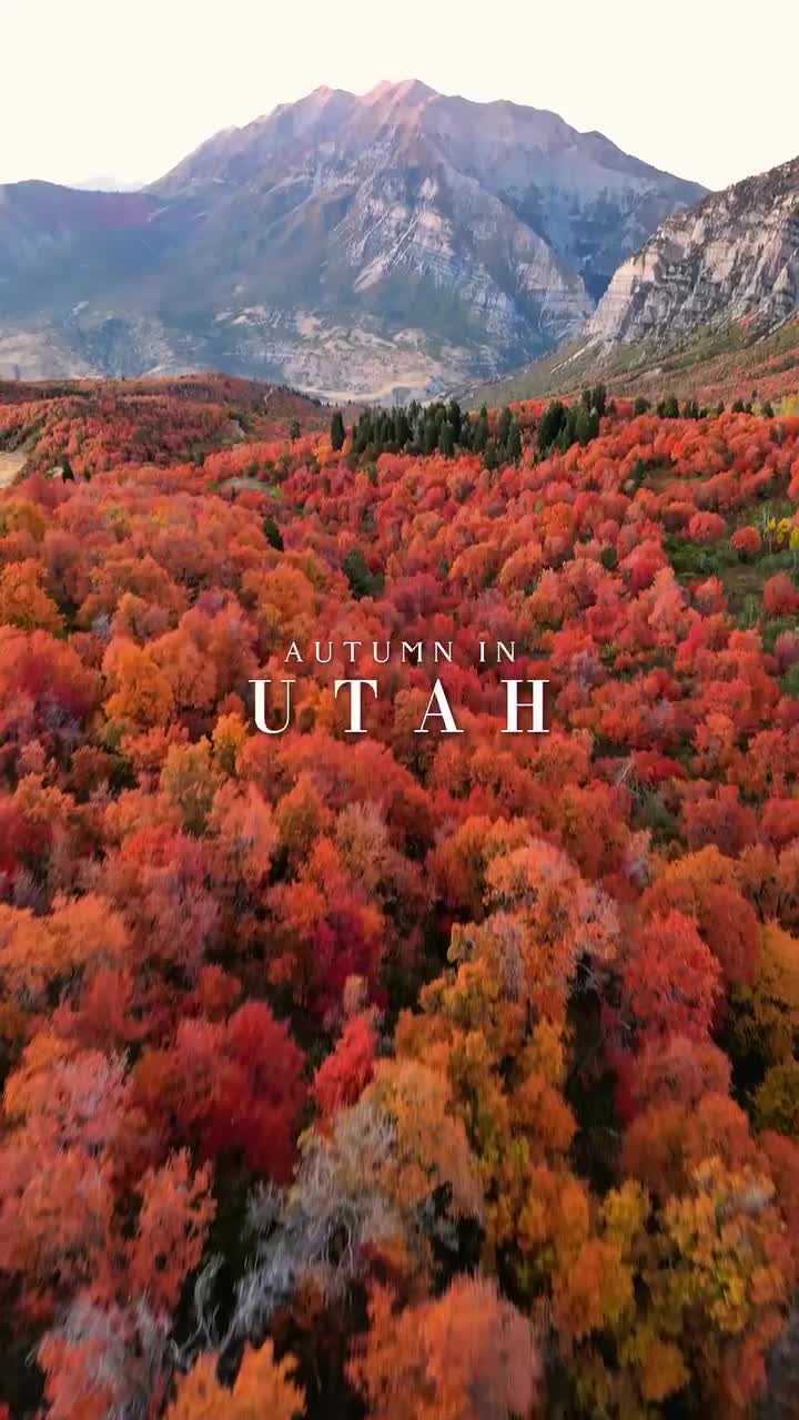 Великолепная осень в Юте! Лучшее место для наслаждения осенними красками - Каньон Прово. С конца ... смотреть онлайн