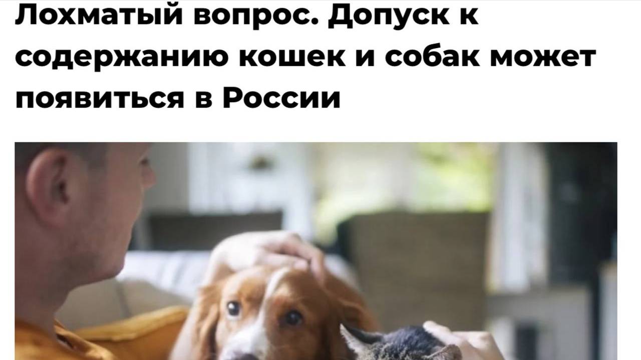 Российский фондовый рынок: металлургия и добыча смотреть онлайн