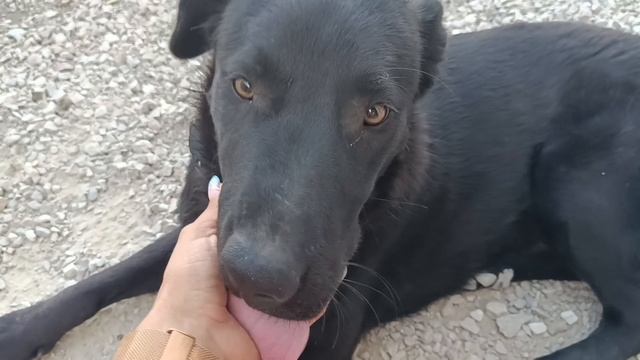 07-09-2025 Бешенные крючки. Сколько находили сегодня и вчера 06-09-2025. #рукодельницавдвидение#твор смотреть онлайн