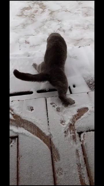 скоро на всех улицах страны.mp4