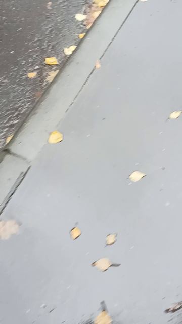 иду в школу под дождем