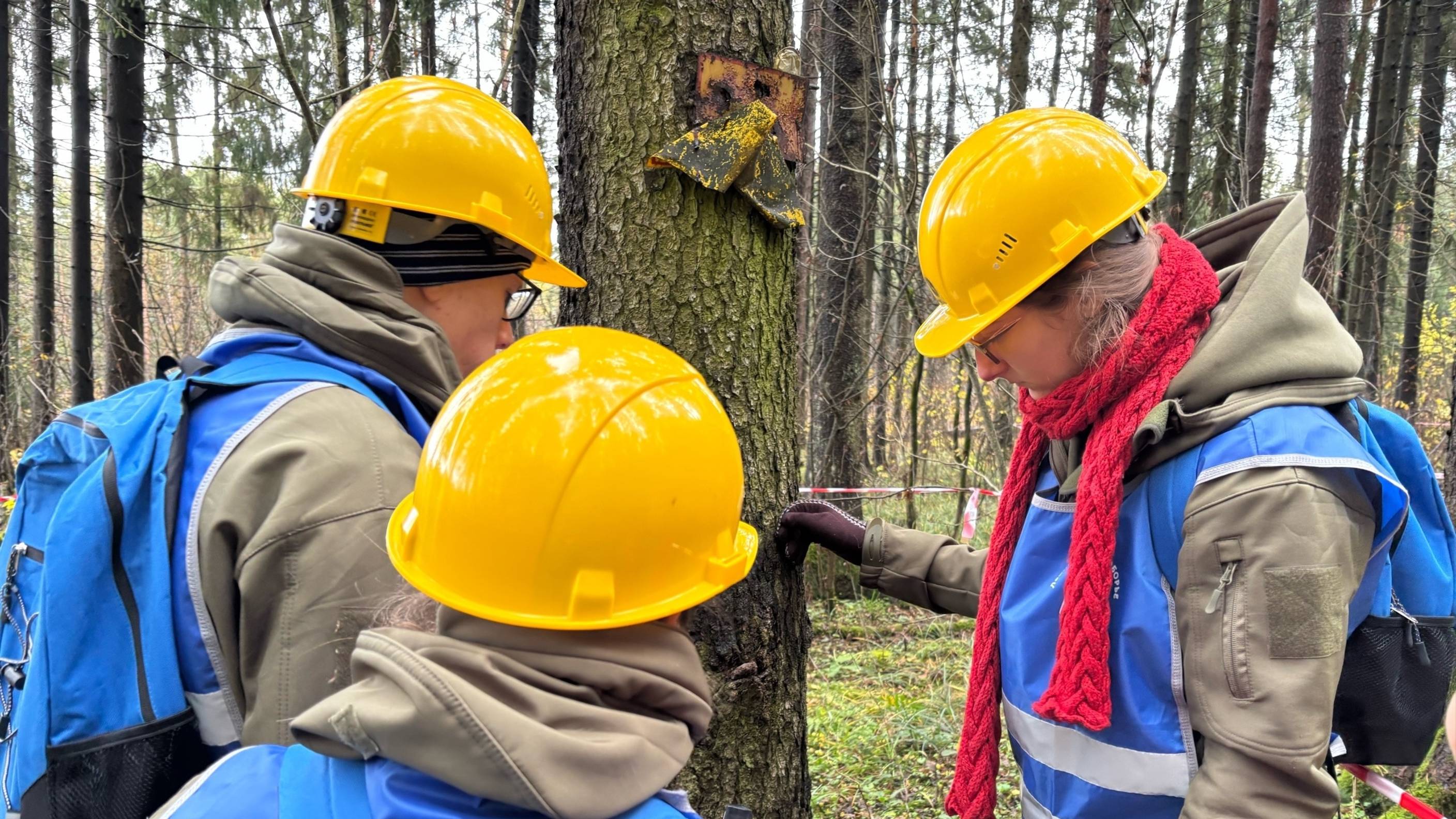 В Пушкино проходят профессионально-прикладные соревнования «Лесное многоборье» смотреть онлайн