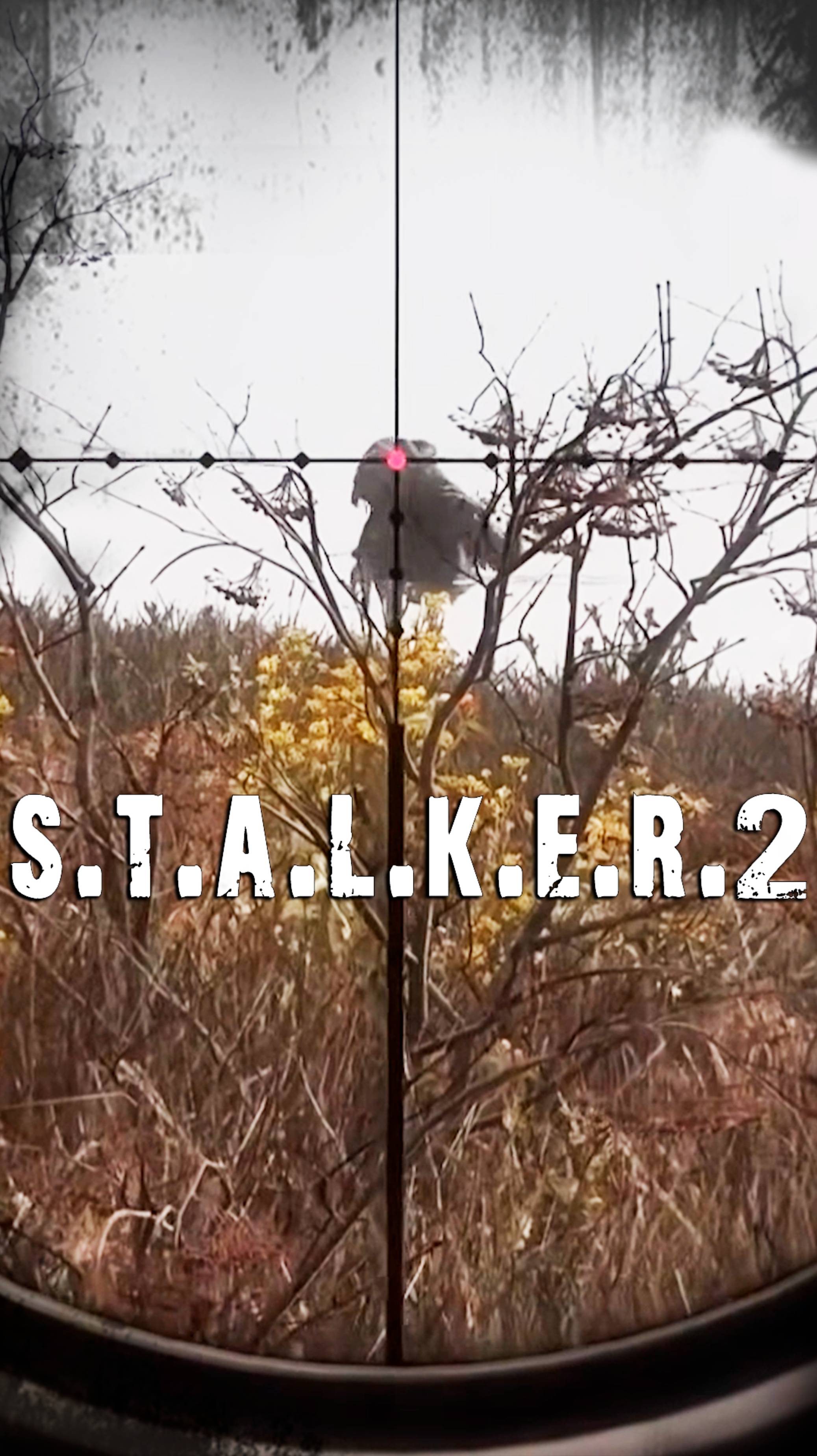 сталкер 2 даёт ответы на многие вопросы смотреть онлайн