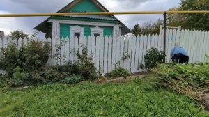 Очистила чердак! Сажаю цветочки