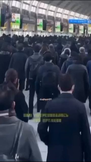 Сколько у нас предков? Вы удивитесь! Но это - так! смотреть онлайн