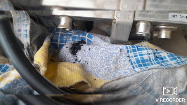 Джелли СК - жертва заправки смотреть онлайн